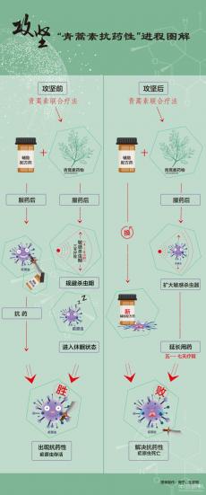 屠呦呦團隊發(fā)布重大科研新突破