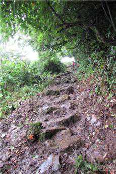 火燒箐村民合力拯救川鹽古道遺址 ?奢香古驛再見天日