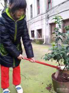 沅江共華小學(xué)開(kāi)展“把荒坡占領(lǐng) 擁抱綠色家園”的植樹(shù)活動(dòng)