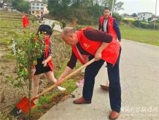 武岡灣頭橋鎮(zhèn)龍泉村：志愿同行 為美麗院落添新綠