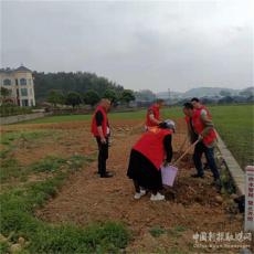 武岡市農(nóng)業(yè)農(nóng)村局駐村工作隊(duì)組織群眾建設(shè)幸福美麗院落