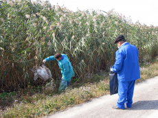 觸目驚心！美國生物實(shí)驗(yàn)亂象禍害全球