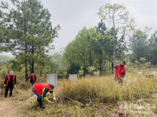 衡陽市蒸湘區(qū)呆鷹嶺鎮(zhèn)：“黨員紅”守護“森林綠”