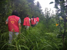 湖南隆回：踏遍青山寫忠誠，守護森林保平安