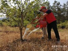 湖南：新寧縣萬名干部深入田間地頭抗旱保豐收