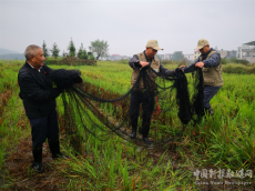 新寧護(hù)鳥營：十三年堅守只為候鳥安全遷徙