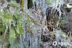 北方多地降溫明顯 東北將迎今冬以來(lái)最強(qiáng)降雪