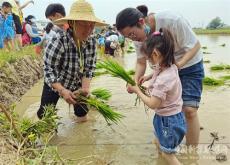 安徽廬江：爭當“小農(nóng)人” 催熱研學游