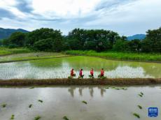 貴州、湖南部分受災(zāi)地區(qū)生產(chǎn)生活秩序逐步恢復(fù)