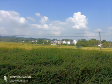 湖南黃公村：糧食生產先進村成功路上“藏”密碼